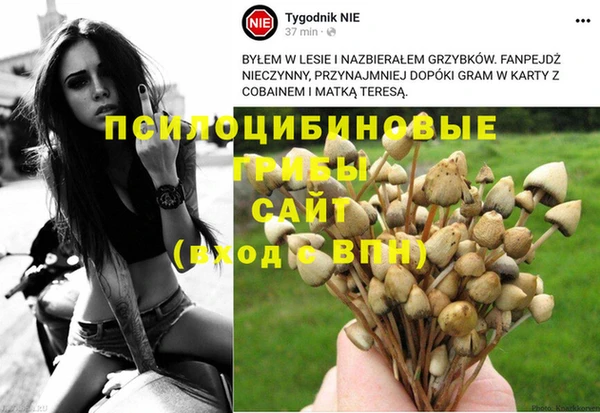 не бодяженный Абаза