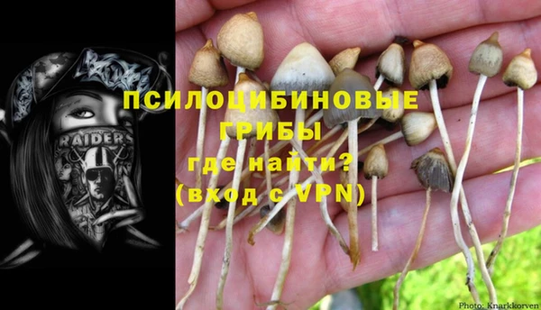 не бодяженный Абаза
