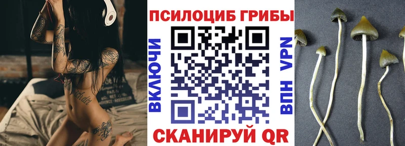 Галлюциногенные грибы Magic Shrooms  kraken как войти  Моршанск 